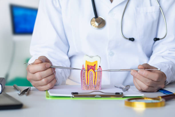 Best Emergency Dental Care for Broken or Chipped Teeth in Elizabeth Lake, CA